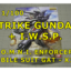 MG STRIKE IWSP ガンプラ ストライク